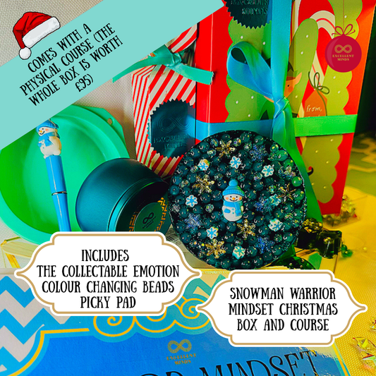 Snowman Warrior Mindset Christmas Gift  Box (re-meltable picky pads)