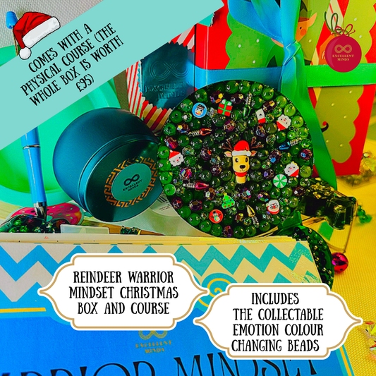 Reindeer Warrior Mindset Christmas Box and Course (re-meltable picky pad)