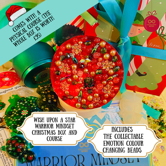 Wish Upon A Star Warrior Mindset Christmas Box (remeltable picky pad set)