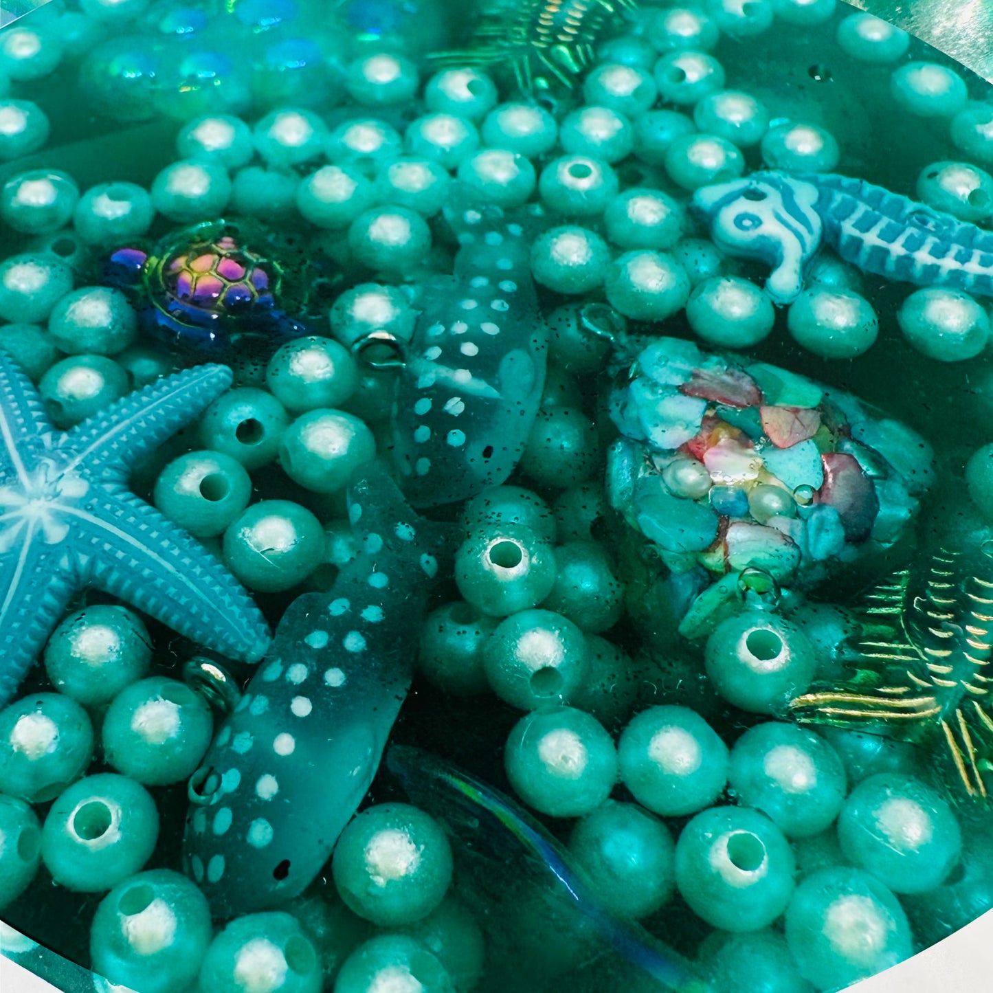 Reusable Sea Creatures Picky Pad (Re-melts over 100 times)